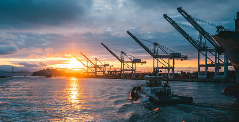 Ирак возобновил экспорт нефти через Курдистан в Турцию