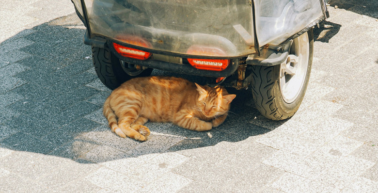 Ученые назвали 2025 год одним из самых жарких в истории наблюдений