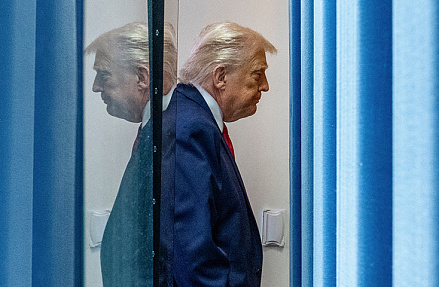 Гегемон полушария