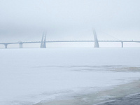 Финский залив впервые с 2011 года полностью замерз