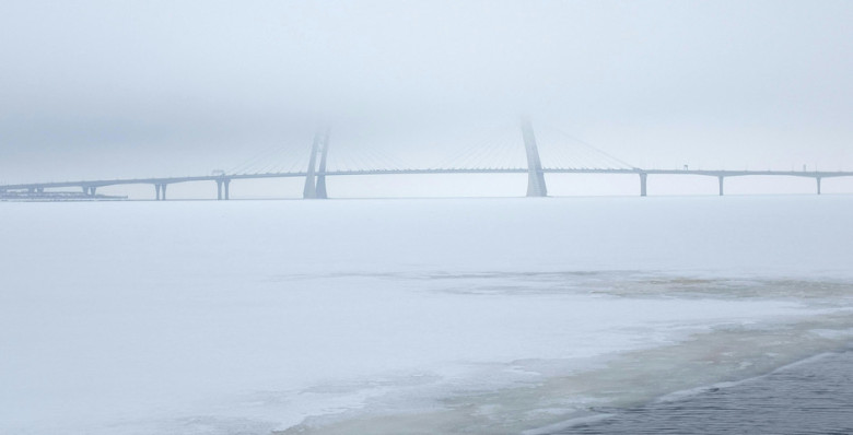 Финский залив впервые с 2011 года полностью замерз