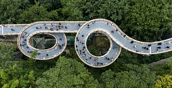 Куда клонится устойчивое развитие