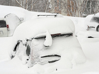 Автопарк правительства Камчатки перевели в режим работы бесплатного такси из-за снегопада