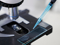 В России внедрят генетическое тестирование для пар, планирующих беременность