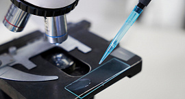 В России внедрят генетическое тестирование для пар, планирующих беременность