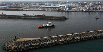 Последняя тихая гавань