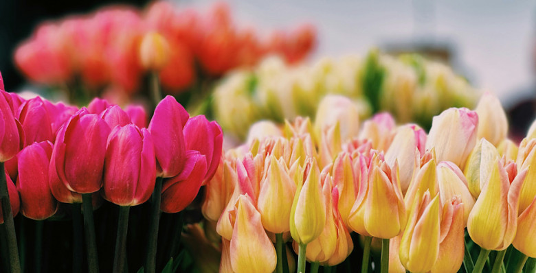 Назван средний чек на букеты к 8 марта