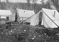 Палаточный лагерь в Анкоридже, Аляска, США, 29 июня 1915 г.