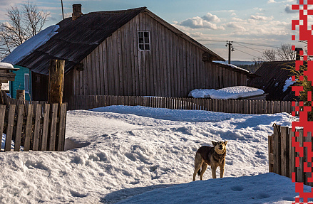 Зов мегаполисов