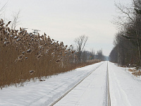 «Коммерсантъ» узнал о возможном отказе кабмина от строительства Севсиба