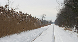 «Коммерсантъ» узнал о возможном отказе кабмина от строительства Севсиба