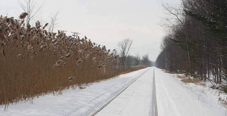 «Коммерсантъ» узнал о возможном отказе кабмина от строительства Севсиба