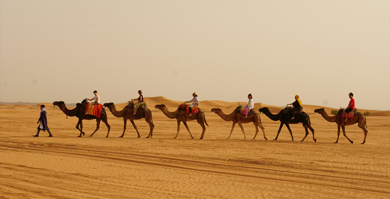 МЭР: три ближневосточные страны обеспокоены отсутствием туристов из РФ