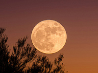 «Роскосмос» просканирует Луну в 2028 году