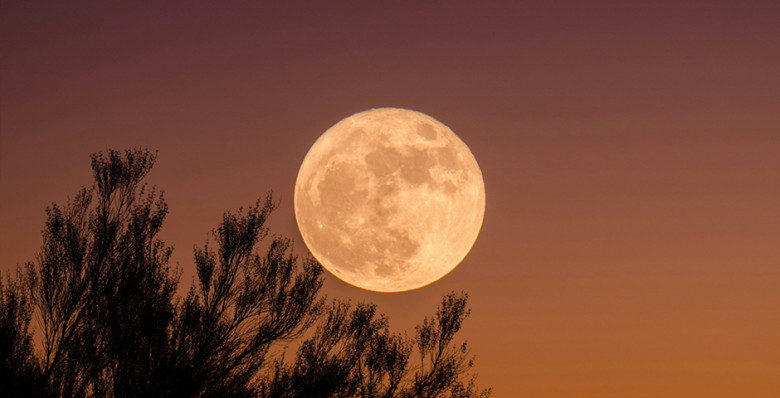 «Роскосмос» просканирует Луну в 2028 году