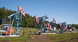 В Кремле исключили выход России из ОПЕК+ вслед за ОАЭ