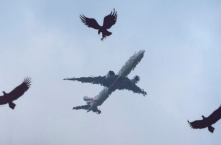 За границу — с чистой совестью