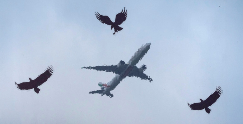 За границу — с чистой совестью