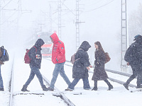 В Подмосковье за сутки выпала месячная норма осадков