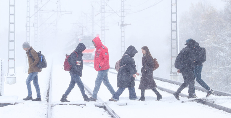В Подмосковье за сутки выпала месячная норма осадков