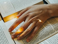 «Вайб» стал словом года по версии портала «Грамота.ру»