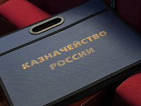 Казначейство перевело в российский бюджет 1,5 трлн рублей в 2025 году