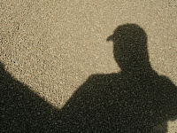 ЦБ запустил сервис для анонимных жалоб на манипулирование рынком