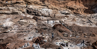 Африканские ресурсы ищут новых друзей