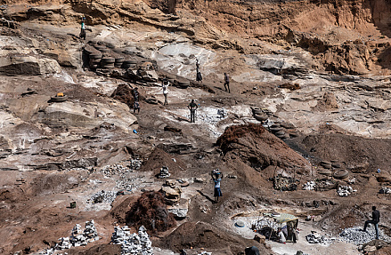 Африканские ресурсы ищут новых друзей