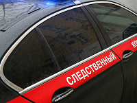 СК возбудил дело о хищении «крымской коллекции» Нидерландами и Украиной