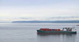 Объемы параллельного импорта в январе упали до исторического минимума