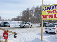 В Новосибирской области завершили изъятие скота из-за пастереллеза