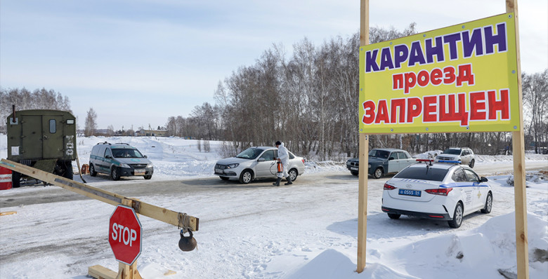 В Новосибирской области завершили изъятие скота из-за пастереллеза