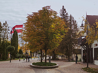 Парламент Латвии проголосовал за выход из конвенции о защите женщин от насилия