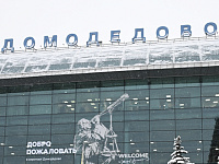 Победителем аукциона по Домодедово стала «дочка» Шереметьево