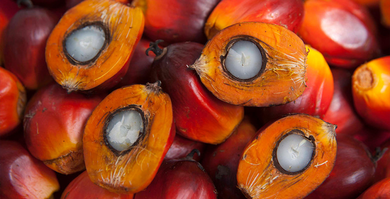 Кабмин заявил о безопасности пальмового масла