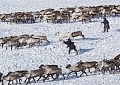 Фото: Сергей Карпухин и Марина Маковецкая / ПОРА 