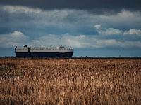 Владимир Путин поручил кабмину проработать поставки продовольствия в Египет