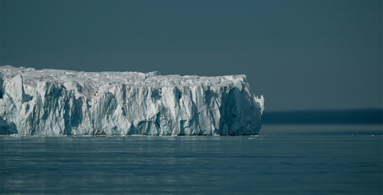 Айсберг A23a потерял статус крупнейшего в мире