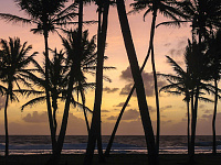 Маршалловы Острова первыми в мире ввели базовый безусловный доход