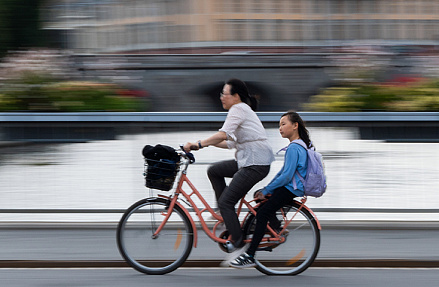 Миграция вместо воспроизводства