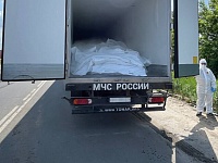 Россия передала Украине 1 тыс. тел погибших военнослужащих