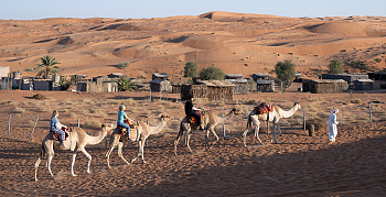 Туристы дождутся осени