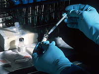 В России выявили завозной случай лихорадки чикунгунья