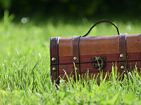 Житель Франции нашел во дворе клад на 700 тыс. евро