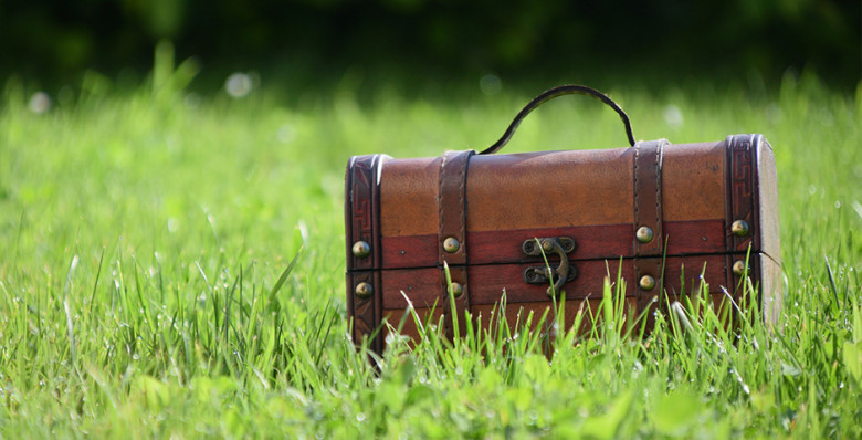 Житель Франции нашел во дворе клад на 700 тыс. евро