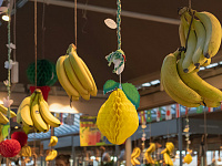 В России запретят продажу бананов короче 14 сантиметров