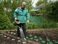 В РАН призвали не уезжать за границу на майские праздники из-за риска для здоровья