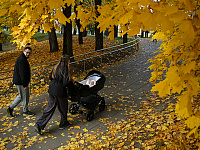 В Госдуме рассказали о разрабатываемых мерах поддержки вовлеченного отцовства