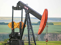 Reuters: Дональд Трамп потребовал от ЕС отказаться от закупок российской нефти